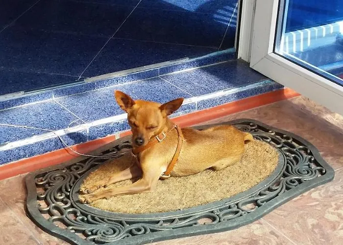 Dara Отель Приморско